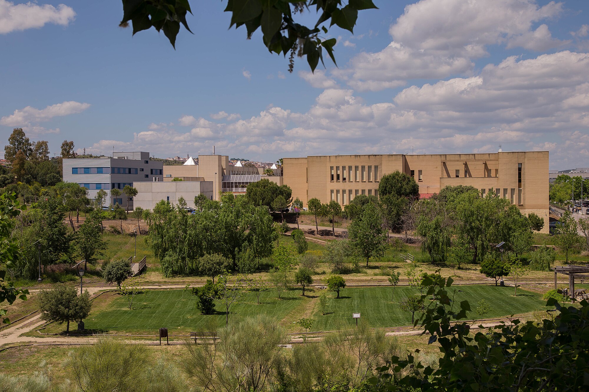 Vista panorámica de varios edificios del campus de Cáceres de la Universidad de Extremadura, entre árboles y zonas verdes