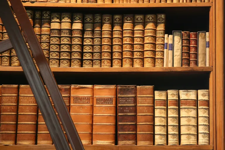 Estantería de madera con libros antiguos encuadernados en piel y una escalera apoyada delante