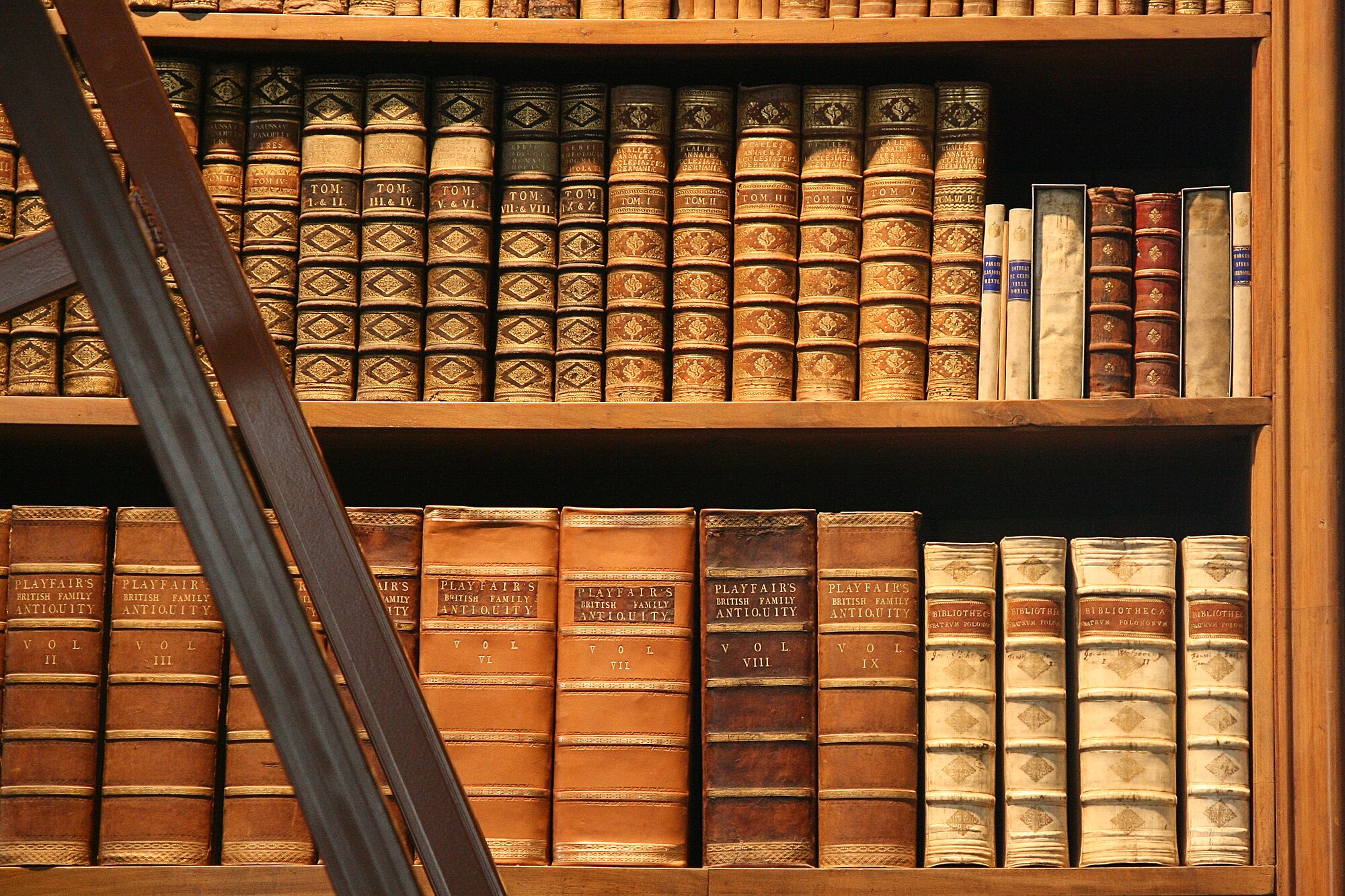 Estantería de madera con libros antiguos encuadernados en piel y una escalera apoyada delante
