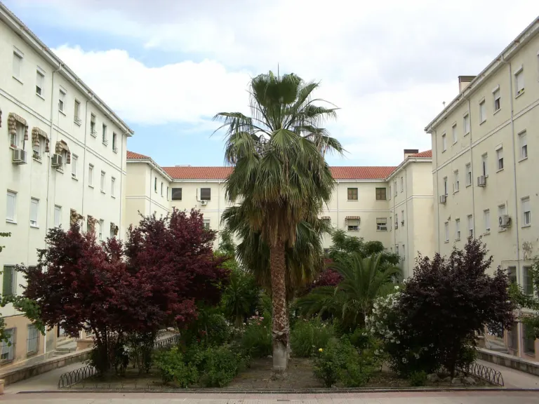 Patio ajardinado con una palmera entre bloques de viviendas protegidas de cuatro y cinco plantas, en Jaén